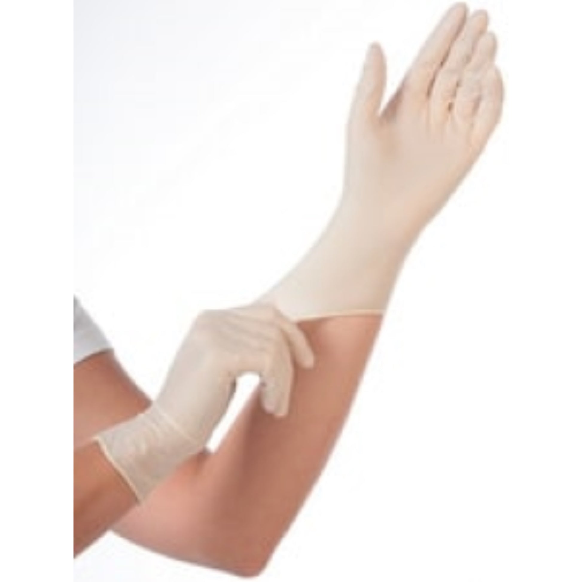 Gant en latex Skin light poudré  Gant de travail, PROTECTION & SECURITE HYGONORM RANGESTOCK