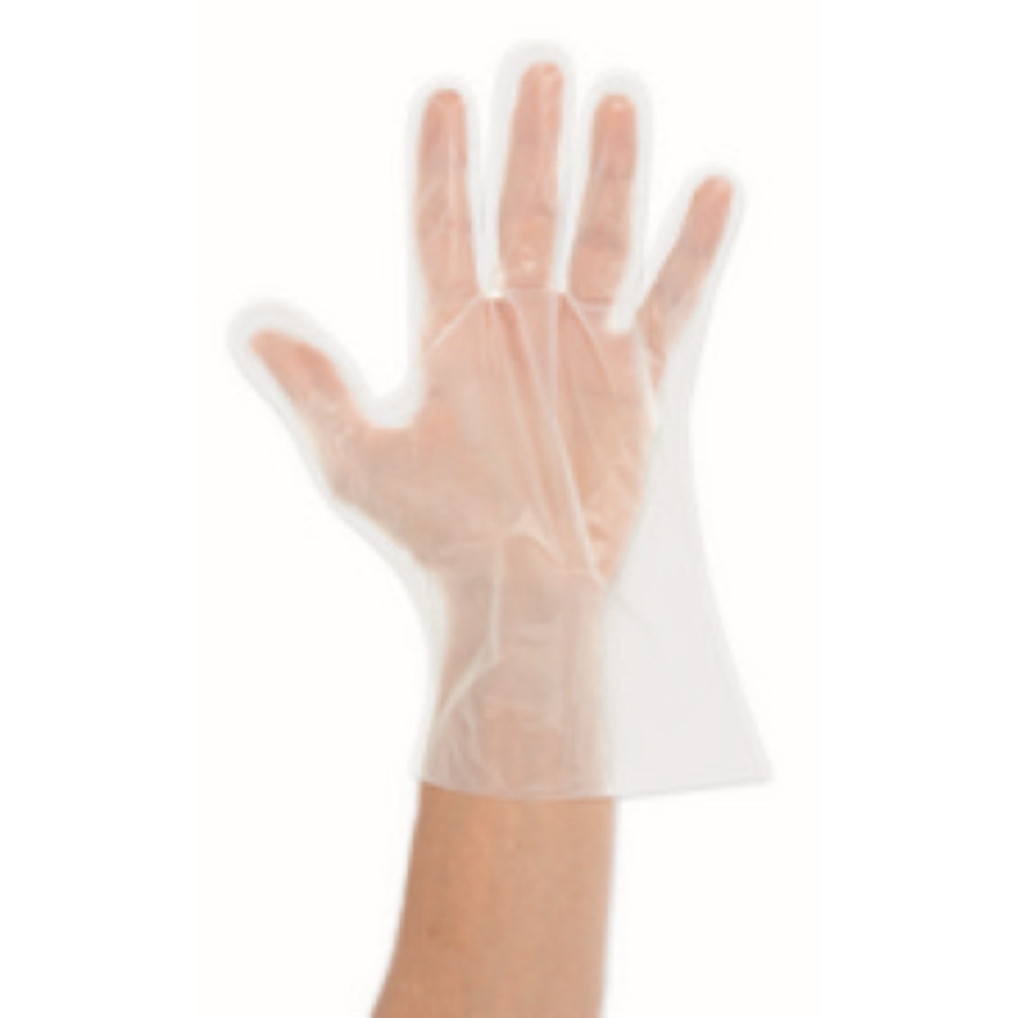 Gants transparent biodégradable  Gant de travail, PROTECTION & SECURITE NATURE STAR RANGESTOCK